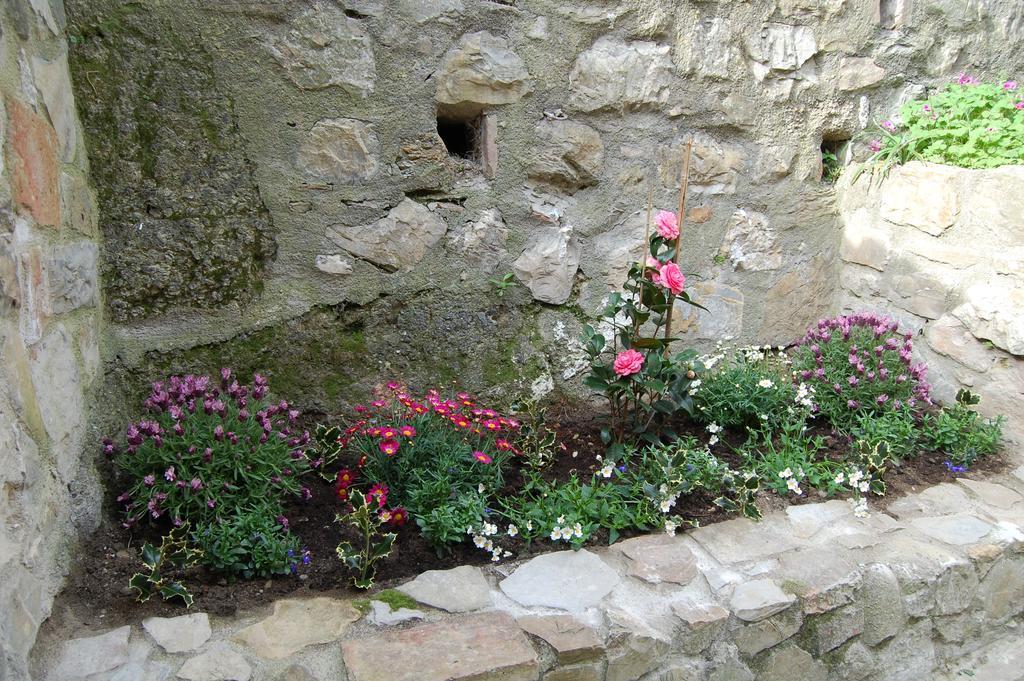 ホテルEmily House Montecerboli エクステリア 写真